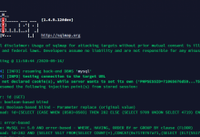 Photo de Tutoriel Sqlmap – Test de penetration avec injection sql